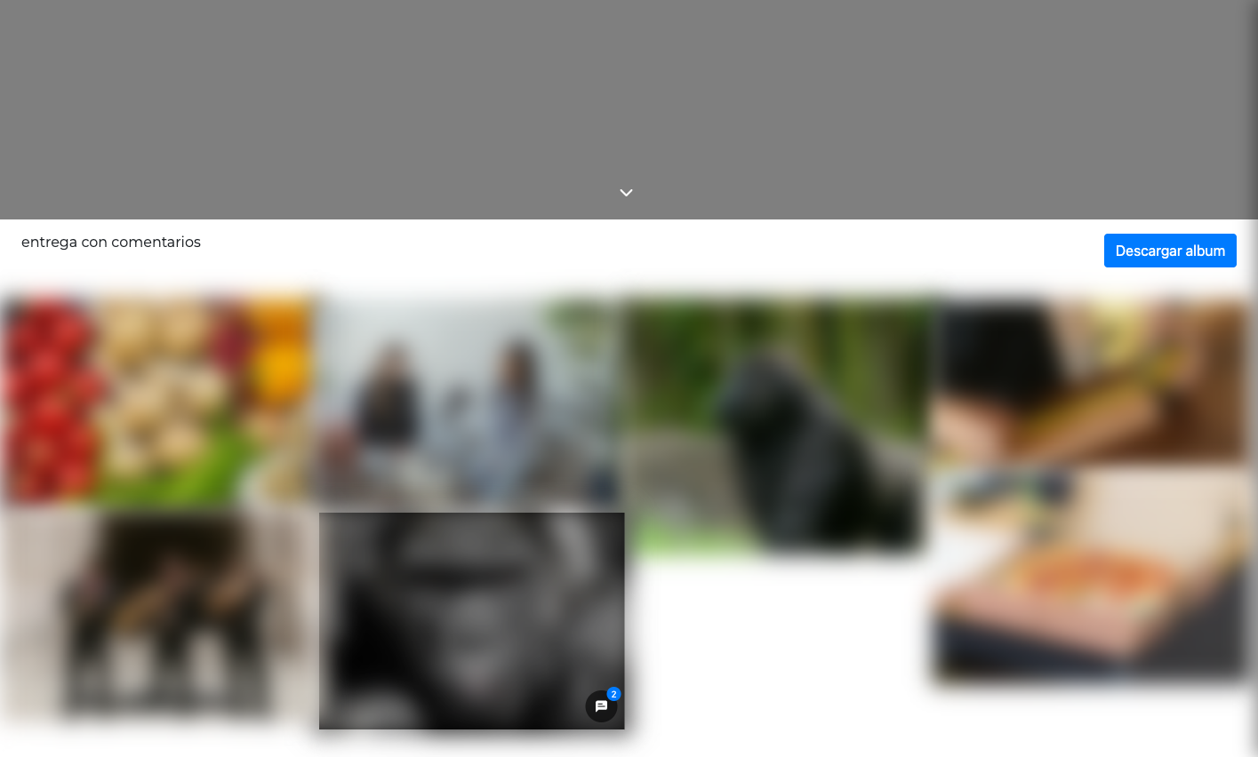 Digital delivery gallery