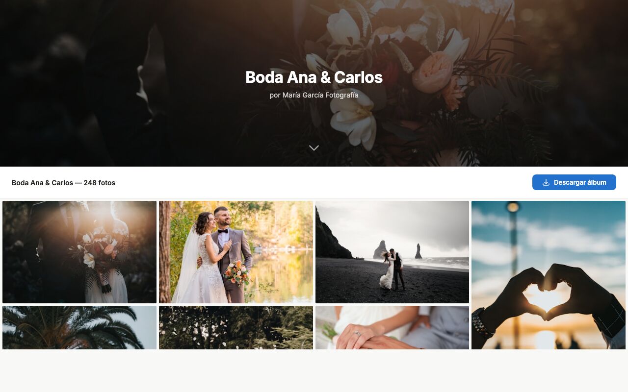 Delivery gallery with cover, session name and download button